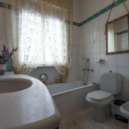 Casa Mimosa 公寓 维亚雷焦